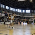 Amics del Bàsquet