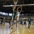 Amics del Bàsquet