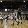 Amics del Bàsquet