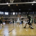 Amics del Bàsquet