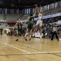 Amics del Bàsquet