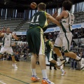 Amics del Bàsquet