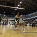 Amics del Bàsquet