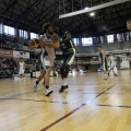 Amics del Bàsquet
