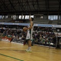 Amics del Bàsquet