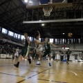 Amics del Bàsquet