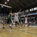 Amics del Bàsquet