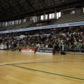 Amics del Bàsquet