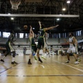 Amics del Bàsquet