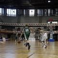 Amics del Bàsquet