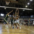 Amics del Bàsquet