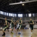 Amics del Bàsquet