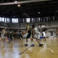 Amics del Bàsquet
