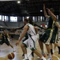 Amics del Bàsquet
