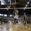 Amics del Bàsquet