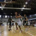 Amics del Bàsquet
