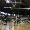 Amics del Bàsquet