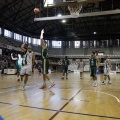 Amics del Bàsquet