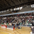 Amics del Bàsquet