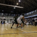 Amics del Bàsquet