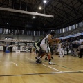 Amics del Bàsquet
