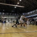 Amics del Bàsquet
