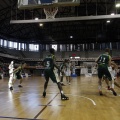 Amics del Bàsquet
