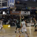 Amics del Bàsquet