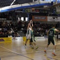 Amics del Bàsquet
