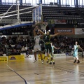 Amics del Bàsquet