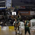 Amics del Bàsquet