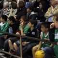 Amics del Bàsquet