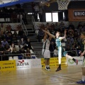 Amics del Bàsquet