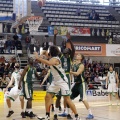 Amics del Bàsquet