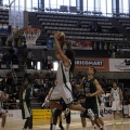 Amics del Bàsquet