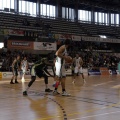 Amics del Bàsquet