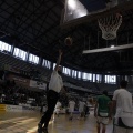 Amics del Bàsquet