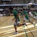 Amics del Bàsquet