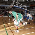 Amics del Bàsquet