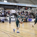 Amics del Bàsquet