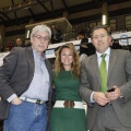Castellón, deportes 2013