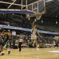 Castellón, deportes 2013