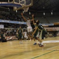 Castellón, deportes 2013