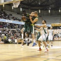 Castellón, deportes 2013