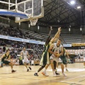 Castellón, deportes 2013