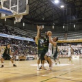 Castellón, deportes 2013
