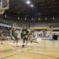 Castellón, deportes 2013
