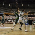 Castellón, deportes 2013