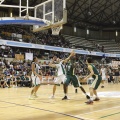 Castellón, deportes 2013