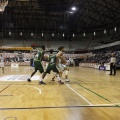 Castellón, deportes 2013